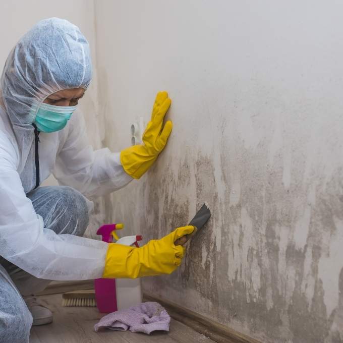 Mold Remediation In Nevada Near Me Mold Remediation In Nevada Near Me